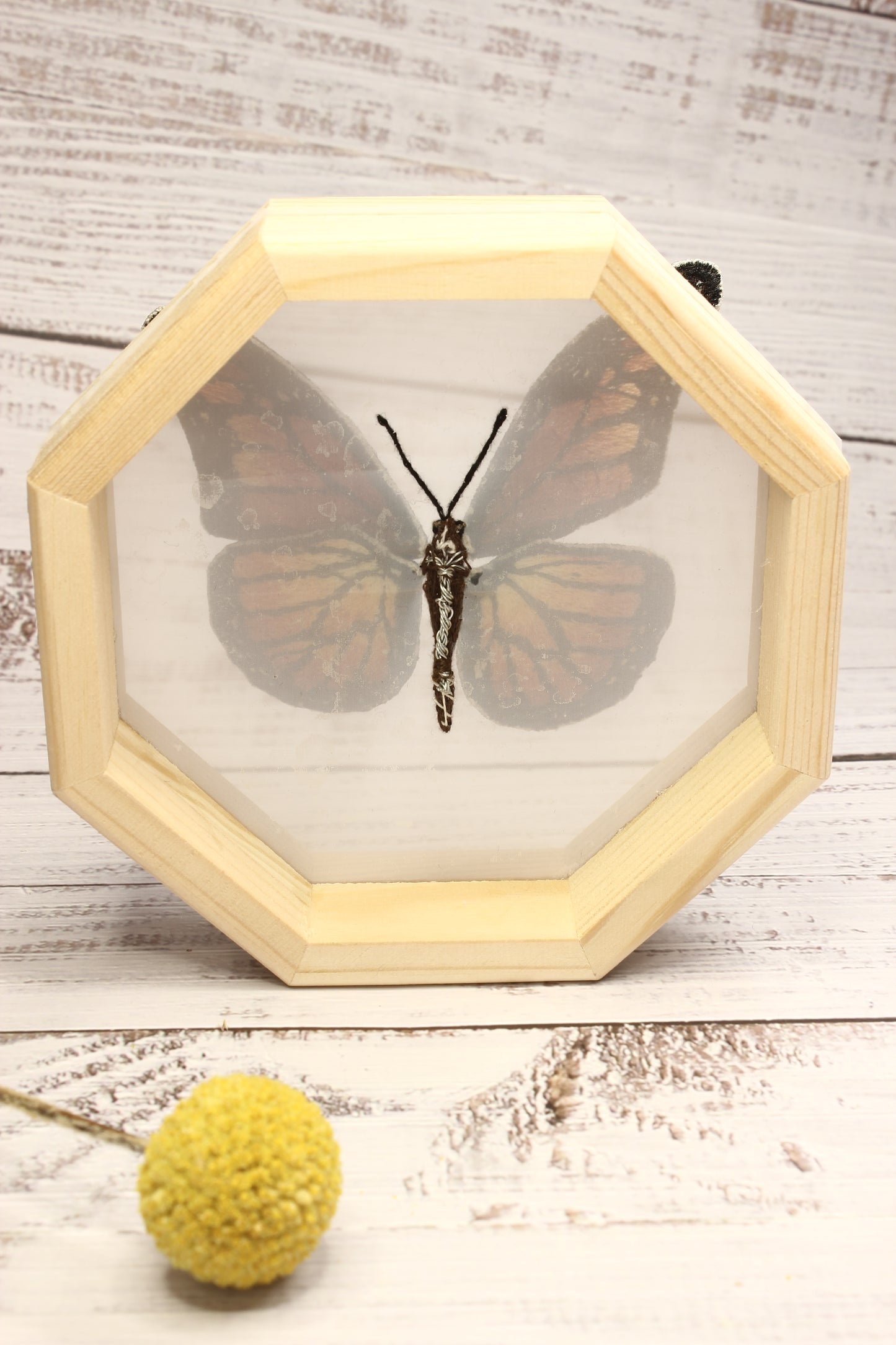 Embroidery Stumpwork Framed Monarch Butterfly