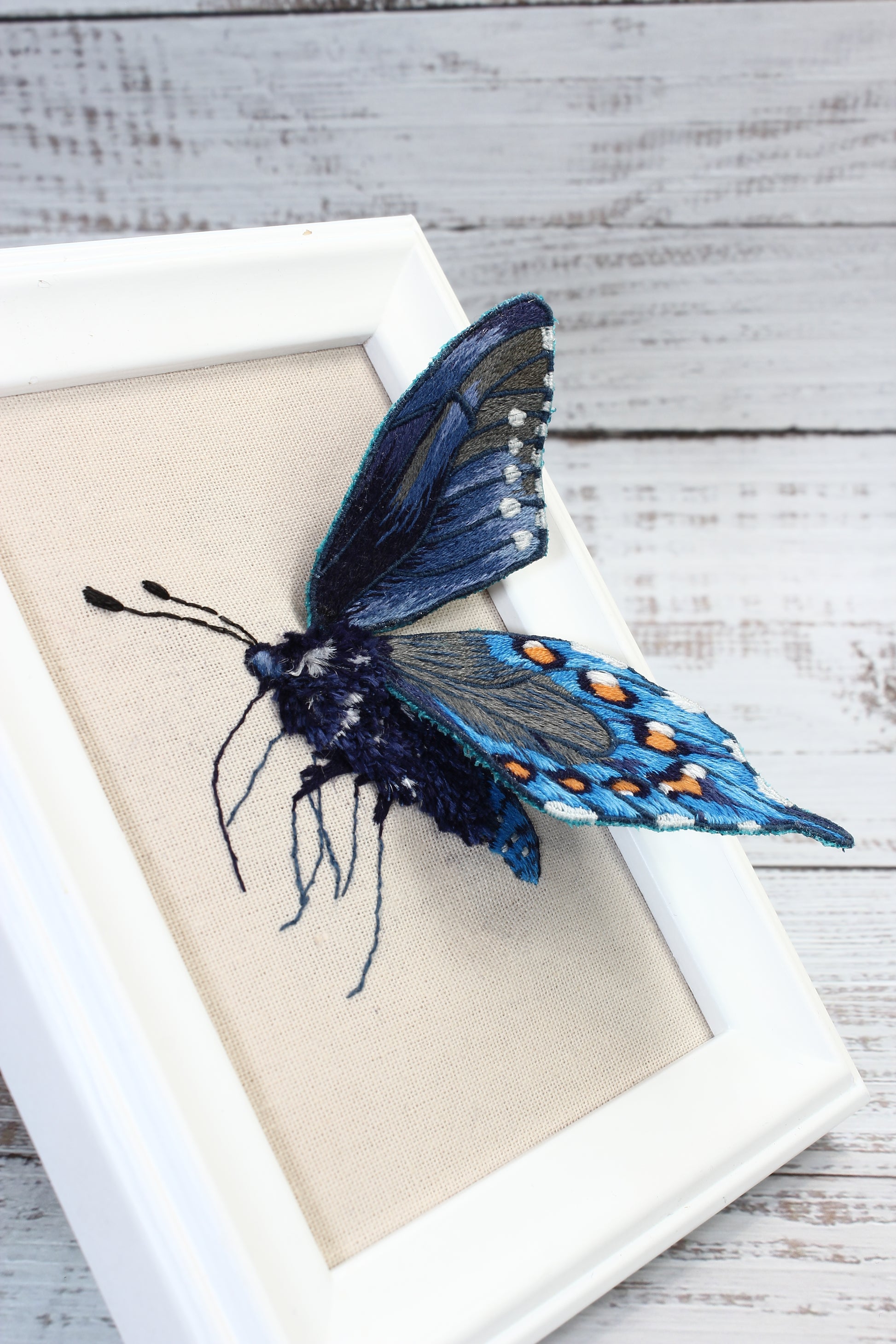 Embroidered butterfly with blue wings on a beige background, framed in white.