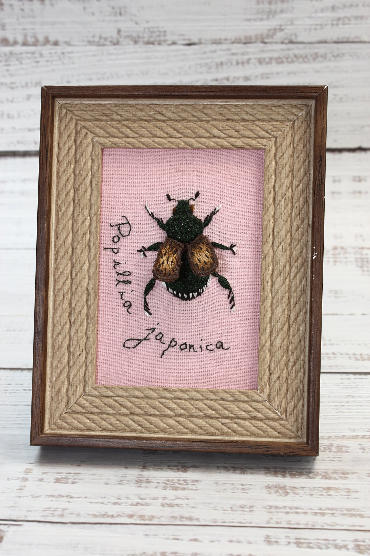 Framed artwork with a beetle embroidery and text on a pink background