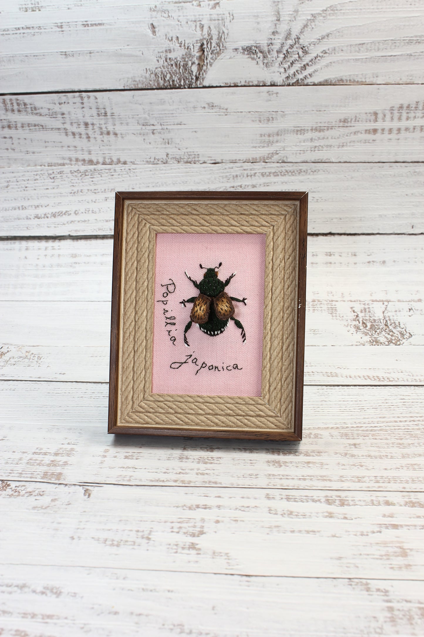 Framed insect specimen on a pink background with decorative text on a wooden surface
