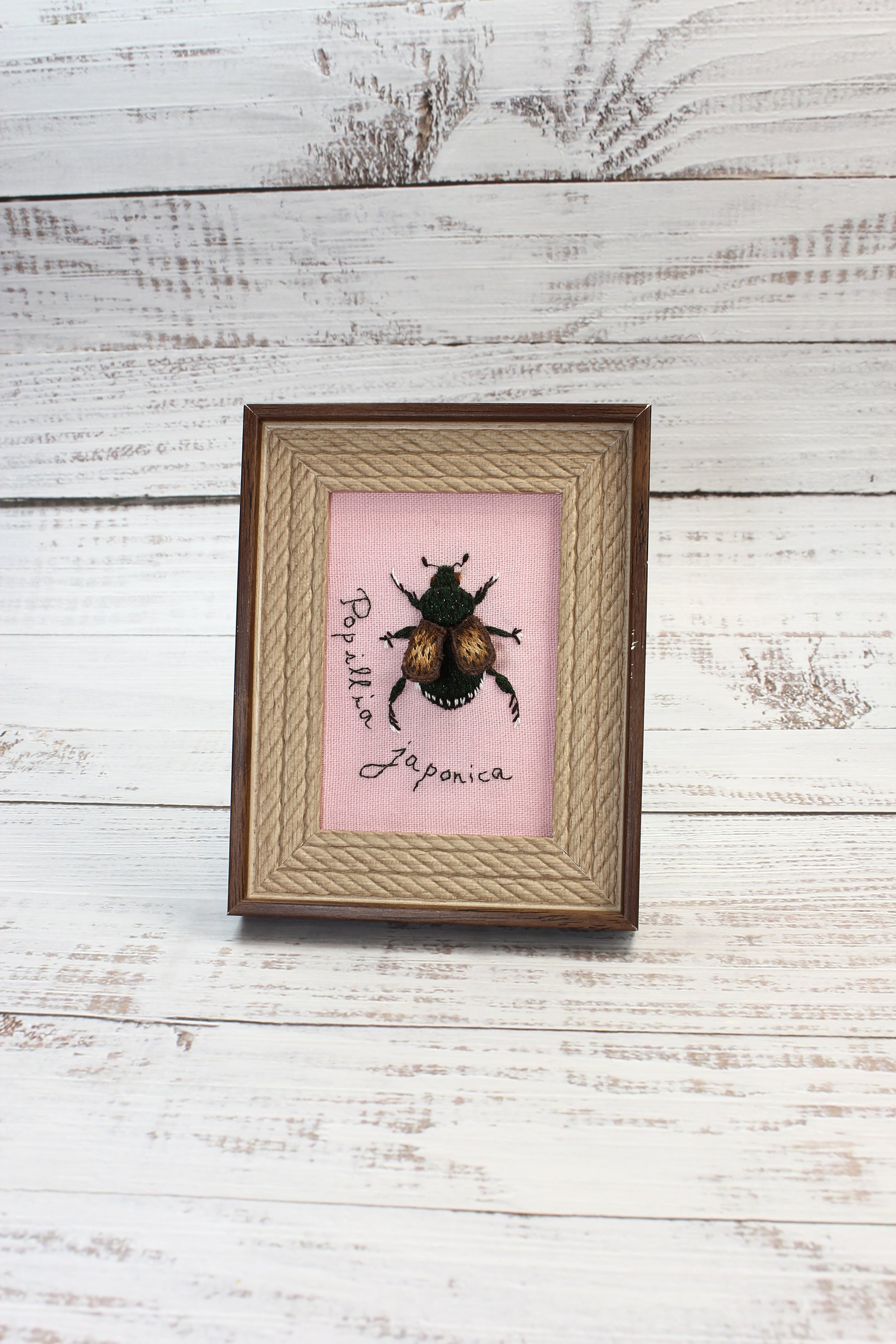 Framed insect specimen on a pink background with decorative text on a wooden surface