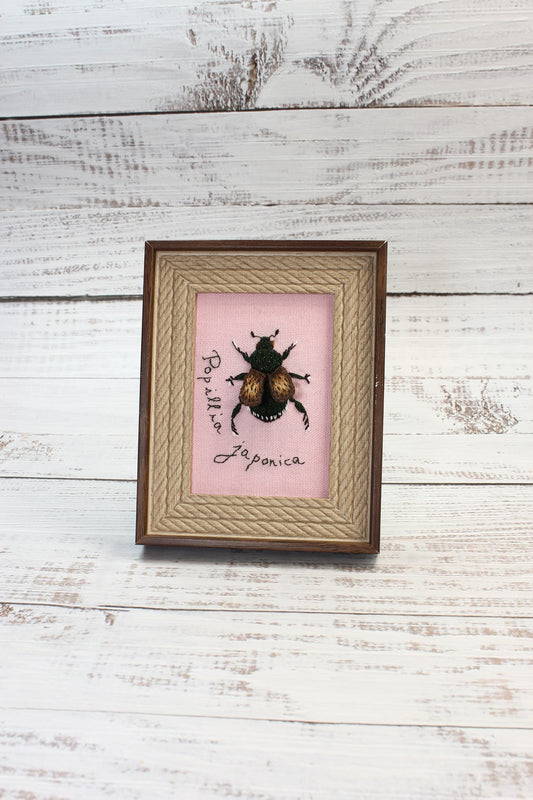 Framed insect specimen on a pink background with decorative text on a wooden surface