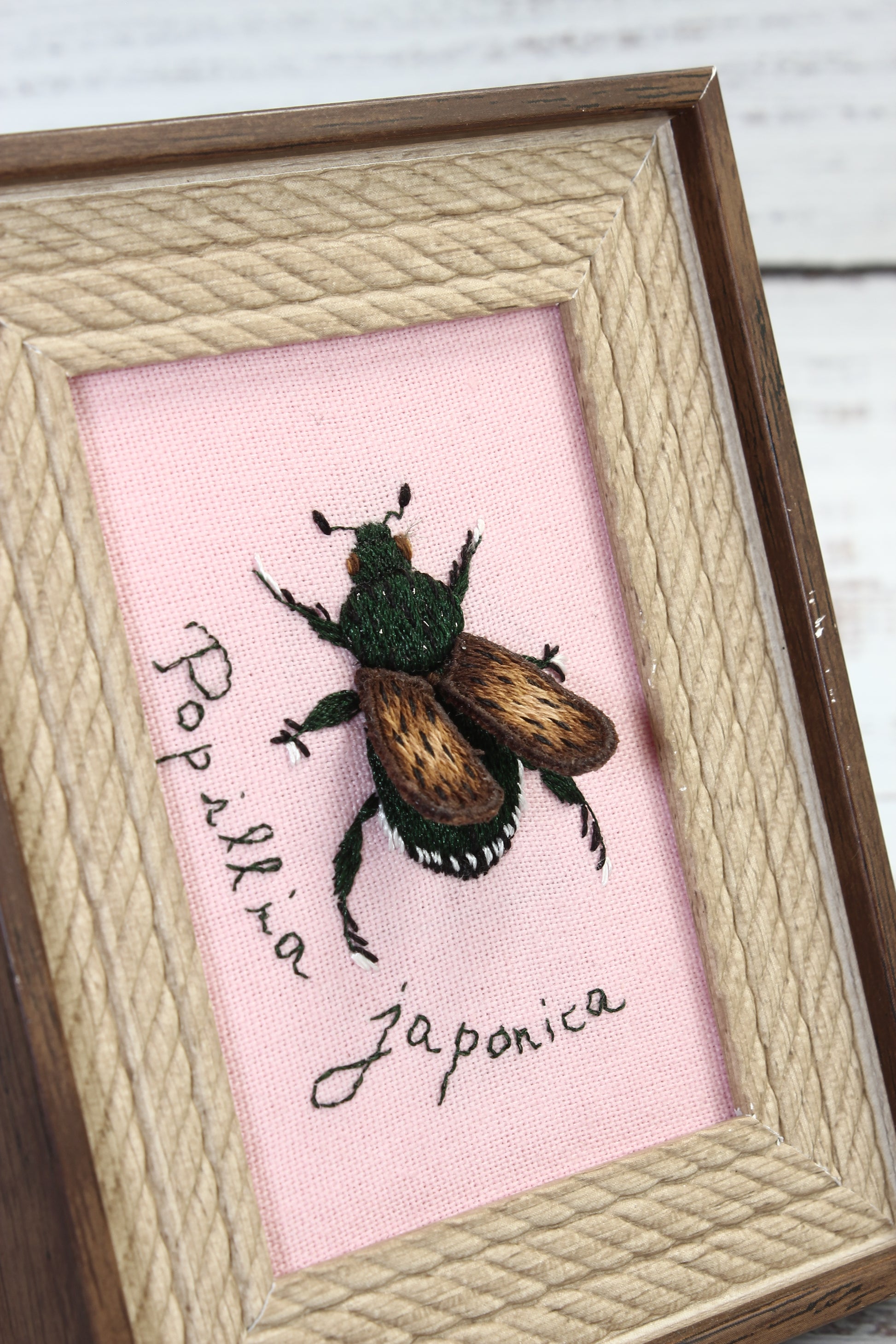 Framed embroidery of a beetle on a pink background with text