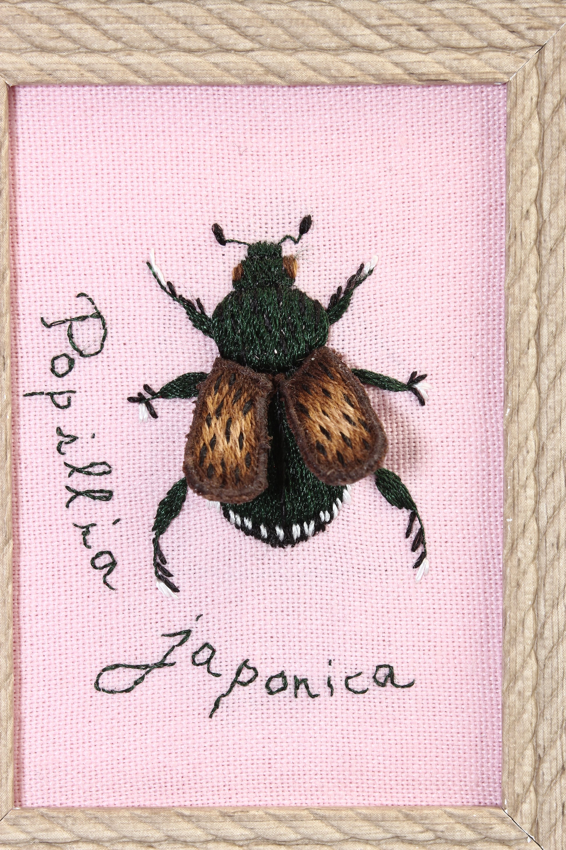 Embroidered beetle design on pink fabric with text, framed in wood.