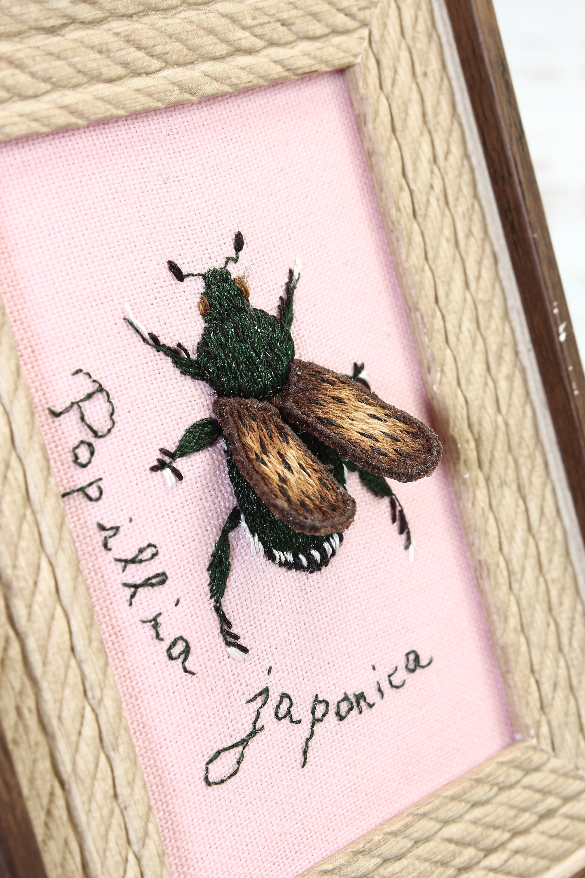 Embroidered beetle on pink fabric with 'Popillia japonica' text, framed in wood.