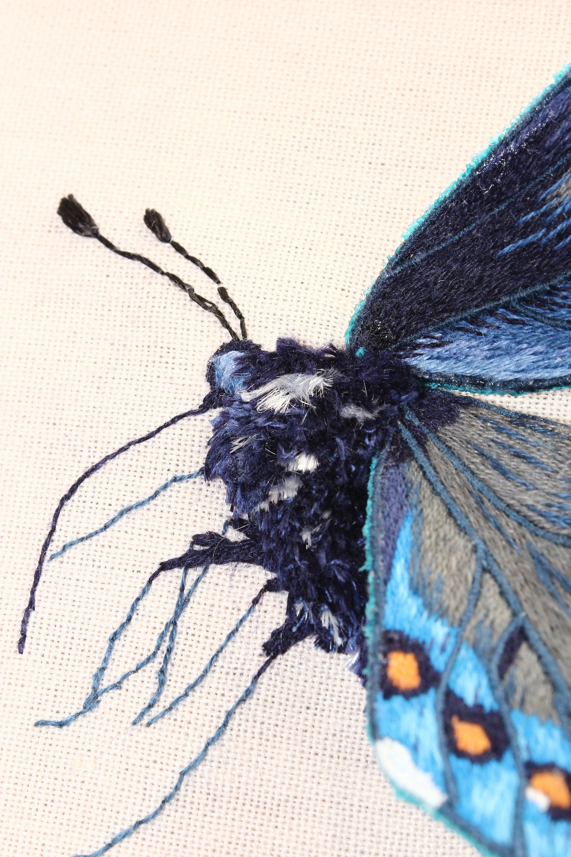 Close-up of a detailed embroidered butterfly on fabric