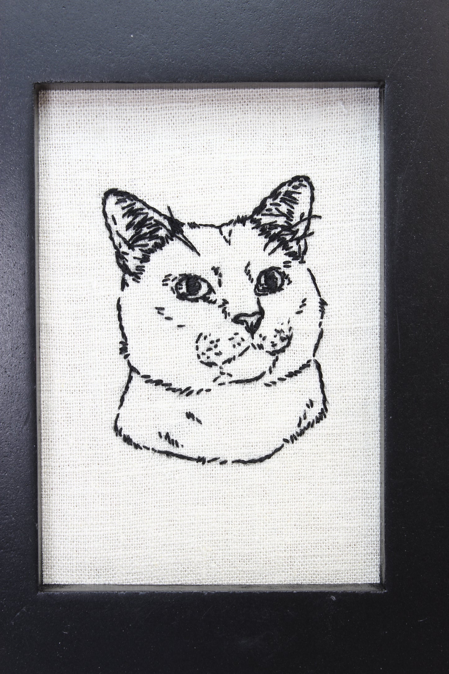 Embroidery Framed Cat #2