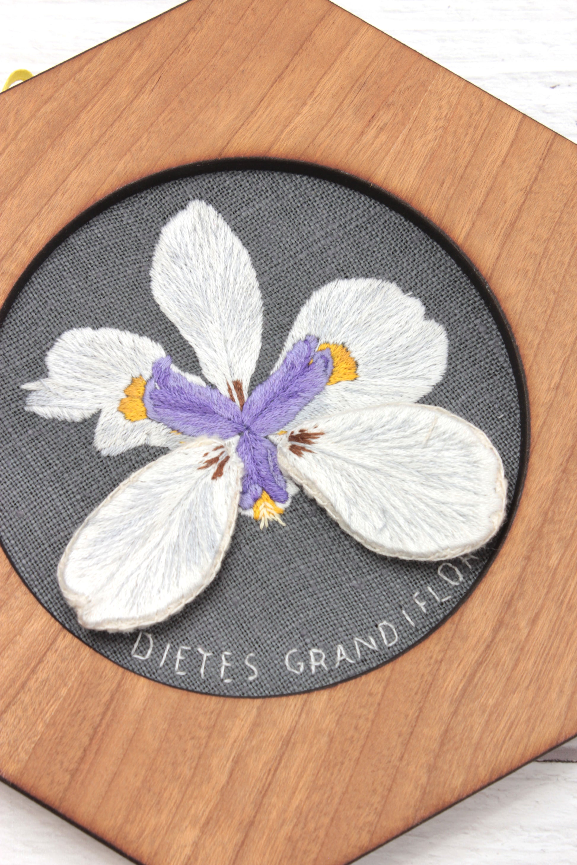 Embroidery Wild Iris Hoop
