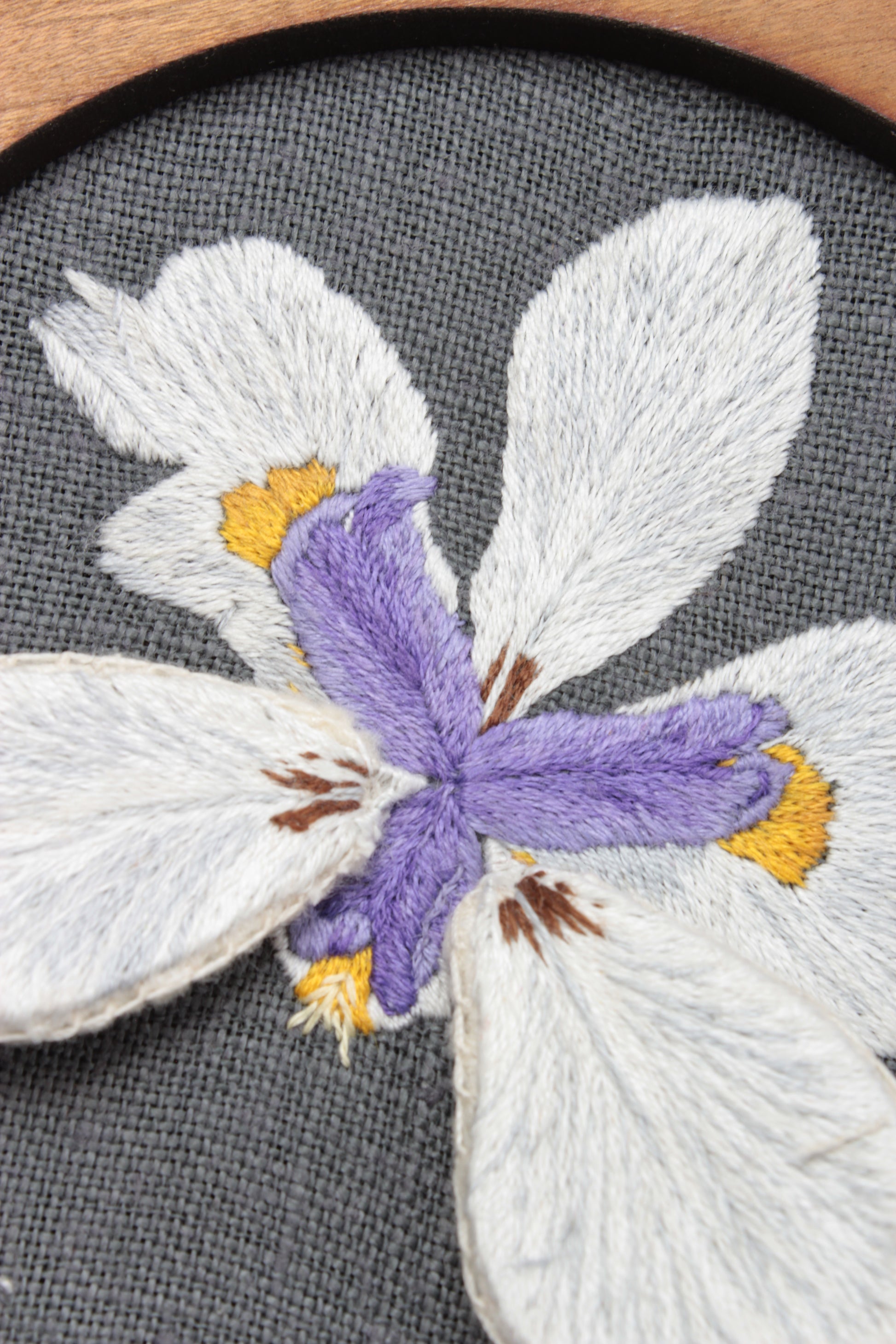 Embroidery Wild Iris Hoop